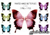 1231828441_painted_wings_butterflies_psd.jpg