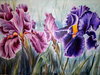 LARGE%20IRIS%20-%20PINK%20&%20PURPLE2.jpg