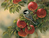 bird-prints-chickadee.jpg