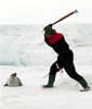 040414_seal_hunt_vlrg_7a.widec.jpg