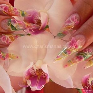 Kajka - GLAMOUR NAILS