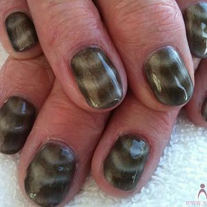 Gelish Magneto Polar Attraction