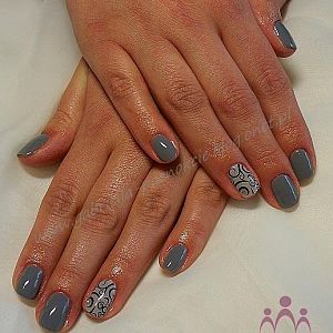 100 3276 Shellac