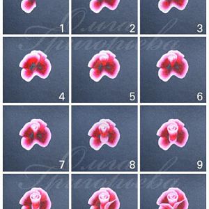 Роза бутон пошаговая1