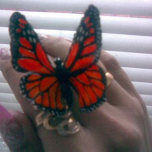 акриловая бабочка