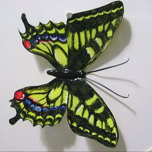 Гелевая бабочка