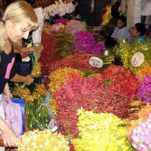 ночной рынок цветов, орхидеи