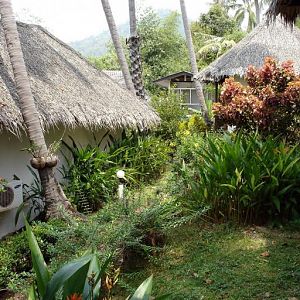 наш домик в джунглях на острове Самуи