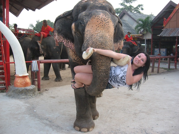 В Таиланде на ферме слоников