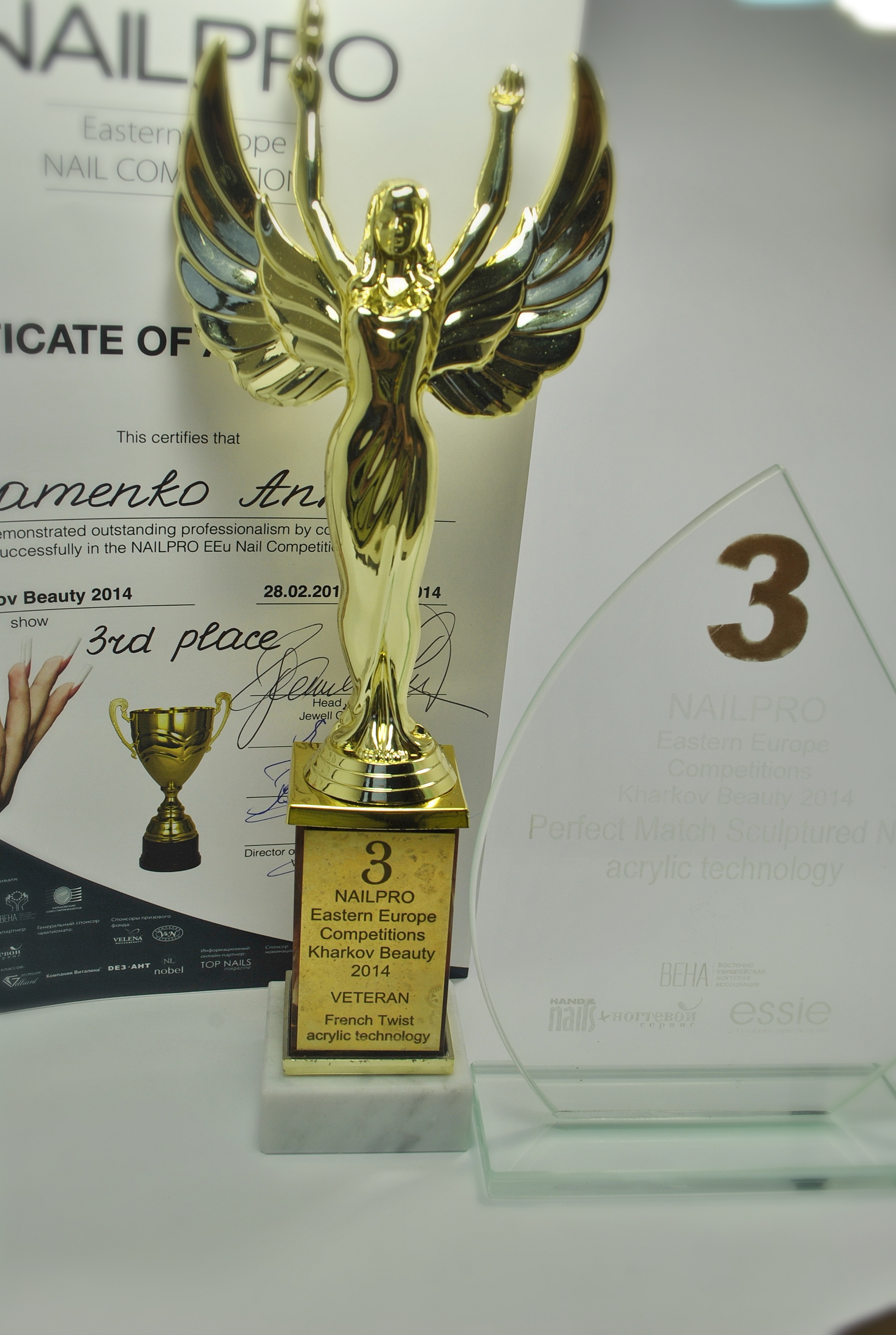Мои "трофеи" привезённые с Чемпионата Восточной Европы Nail Pro. Три третьих места,