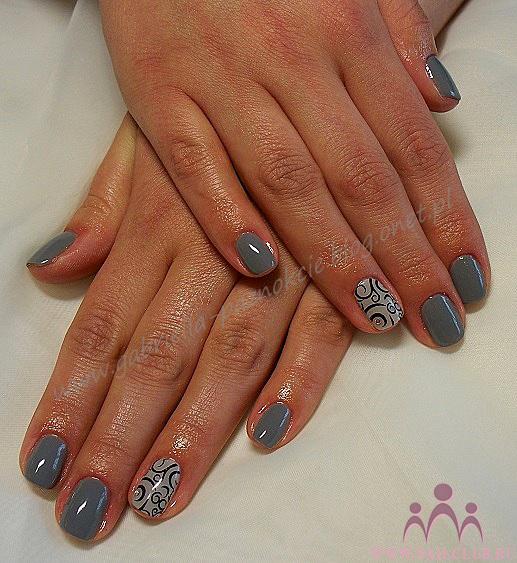 100 3276 Shellac