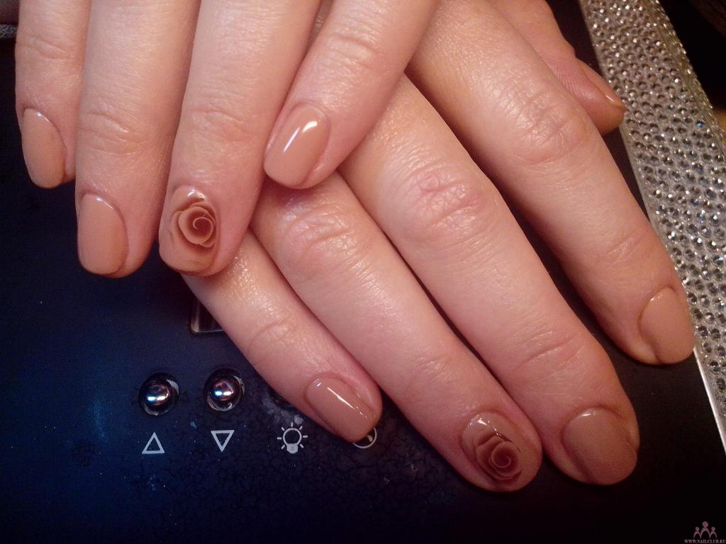 shellac какао+розочки любимые))