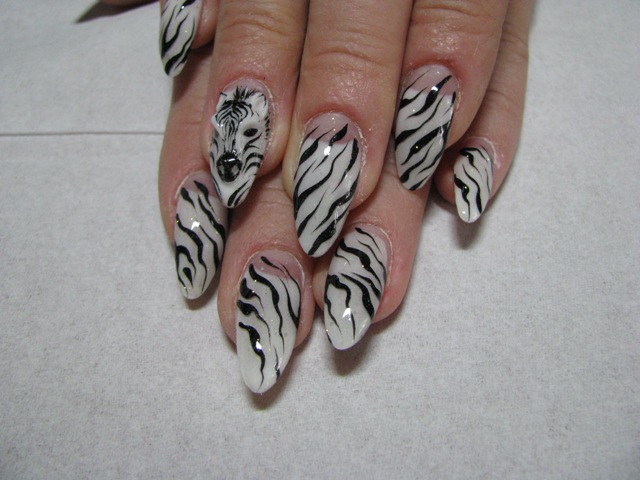 zebra